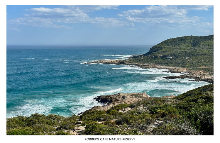 Robberg Cape Nature Reserve