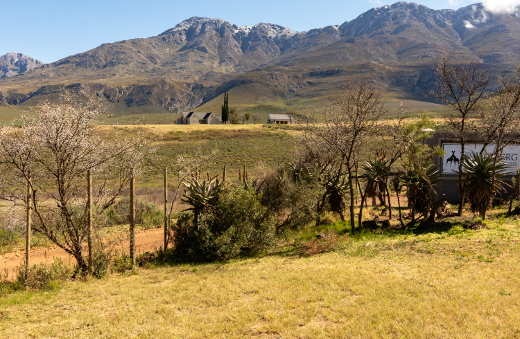 Swartberg Pass (7)