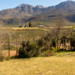 Swartberg Pass (7)