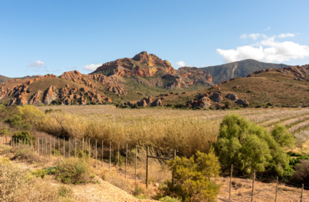 Swartberg Pass (2)