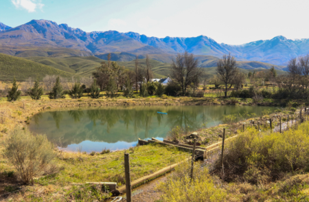 Swartberg Pass (3)