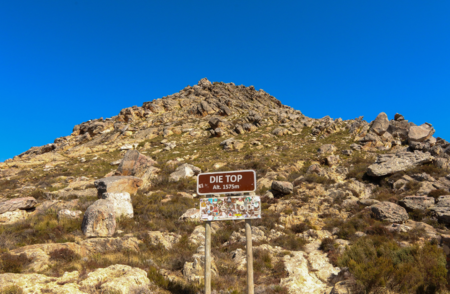 Swartberg Pass (4)