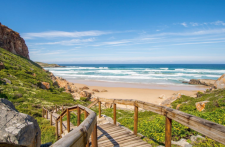 Pe   Knysna (Plett)
