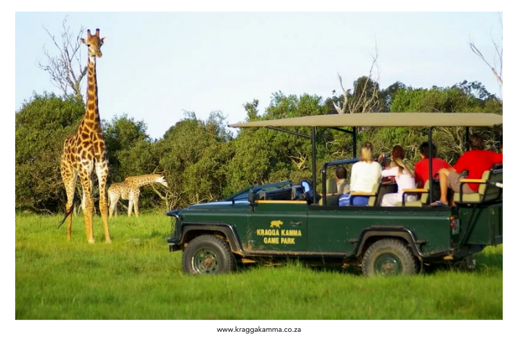 Kragga Karma Game Reserve Kragga Karma Game Reserve