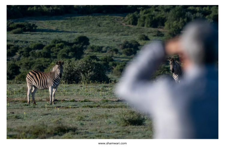 Shamwari Private Game Reserve Shamwari Private Game Reserve