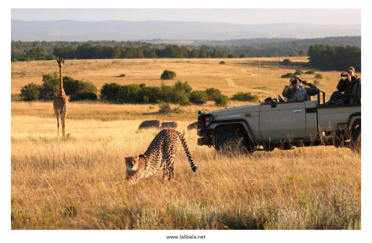 Lalibela Game Reserve Lalibela Game Reserve