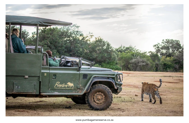 Pumba Private Game Reserve Pumba Private Game Reserve
