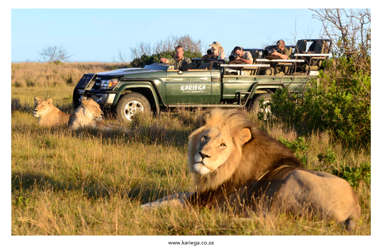 Kariega Game Reserve Kariega Game Reserve